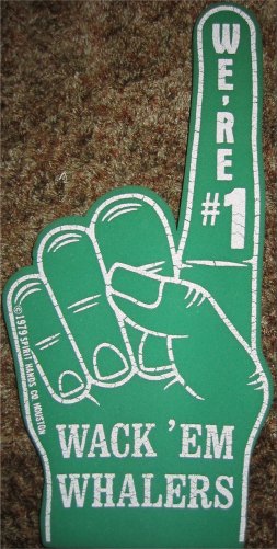 foamfinger1979spiritr