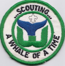patch1980'sboyscout